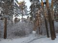 Потепление и мокрый снег: прогноз погоды в Челябинской области на три дня