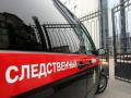 Глава СК РФ поставил на контроль уголовное дело по факту смерти беременной в роддоме Челябинска