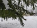 Снег и гололедица ожидают южноуральцев 5 января