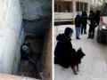Южноуральские спасатели вытащили из вентиляции упавшую туда собаку