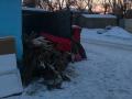В Челябинской области найден гроб неподалеку от школы