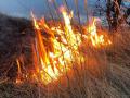 В Челябинской области ввели особый противопожарный режим