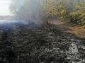 На Южном Урале любители отдыха на природе устроили пожар на берегу реки