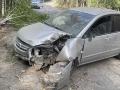На Южном Урале автомобилистка врезалась в дерево из-за шмеля