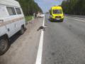В Челябинской области на трассе сбили пожилого велосипедиста 