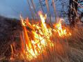 Особый противопожарный режим отменен в Челябинской области