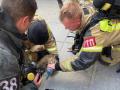 В Челябинской области пожарные спасли надышавшегося дымом кота