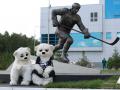 В столице Южного Урала открыли монумент, посвященный истории челябинского хоккея