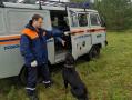 На Южном Урале завершены поиски пропавшей в лесу пенсионерки 