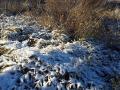 Слабый снег и гололедица ожидают южноуральцев 20 ноября