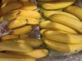 Россельхознадзор ограничил ввоз гвоздик и бананов из Эквадора