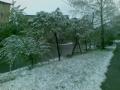 Шапка на макушку лета: вчера в Златоусте валил снег 