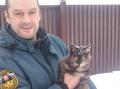 В Челябинской области пожарный спас примерзшего к столбу кота