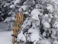 На Таганае лыжница серьезно пострадала, врезавшись в дерево