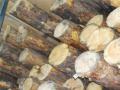 Челябинские таможенники не выпустили в Казахстан 20 тонн бревен, которые выдали за дрова