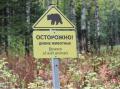 На популярном маршруте в нацпарке «Таганай» заметили следы медведицы с медвежатами